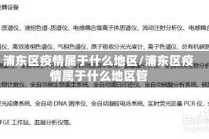 浦东区疫情属于什么地区/浦东区疫情属于什么地区管