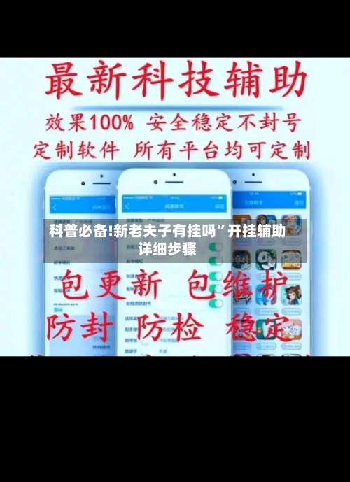 科普必备!新老夫子有挂吗”开挂辅助详细步骤-第3张图片