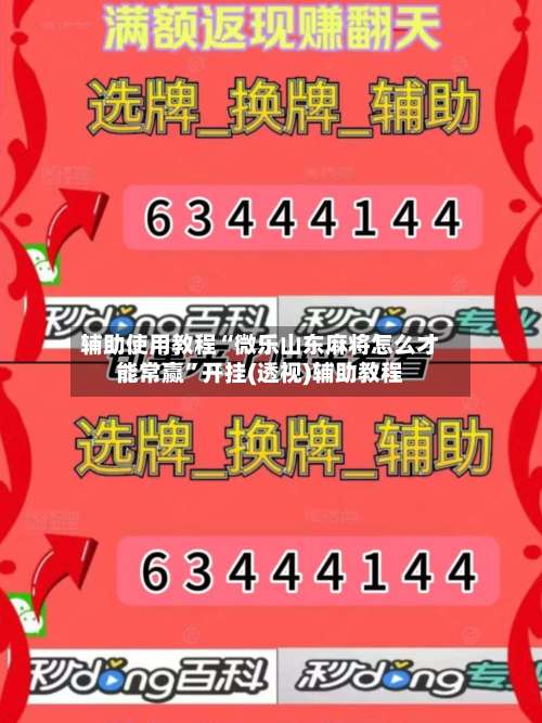 辅助使用教程“微乐山东麻将怎么才能常赢”开挂(透视)辅助教程-第3张图片