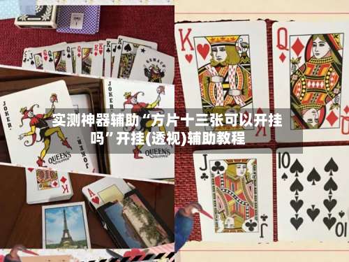 实测神器辅助“方片十三张可以开挂吗”开挂(透视)辅助教程-第2张图片